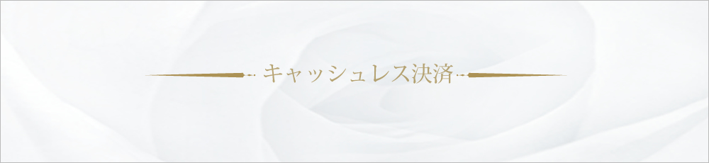 サンクチュアリ　ｷｬｯｼｭﾚｽ決済